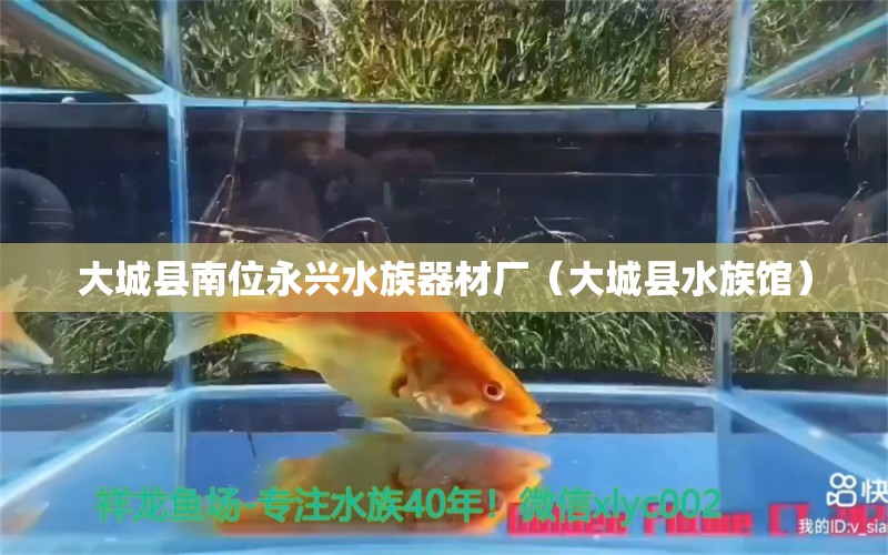 大城县南位永兴水族器材厂（大城县水族馆）