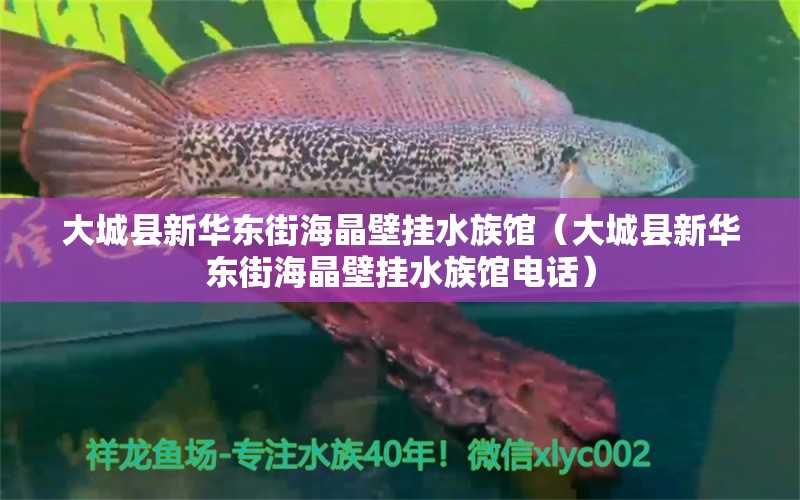 大城县新华东街海晶壁挂水族馆（大城县新华东街海晶壁挂水族馆电话） 全国水族馆企业名录