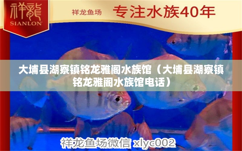 大埔县湖寮镇铭龙雅阁水族馆（大埔县湖寮镇铭龙雅阁水族馆电话） 全国水族馆企业名录