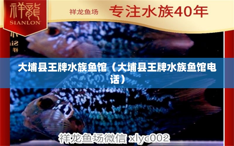 大埔县王牌水族鱼馆（大埔县王牌水族鱼馆电话） 全国水族馆企业名录