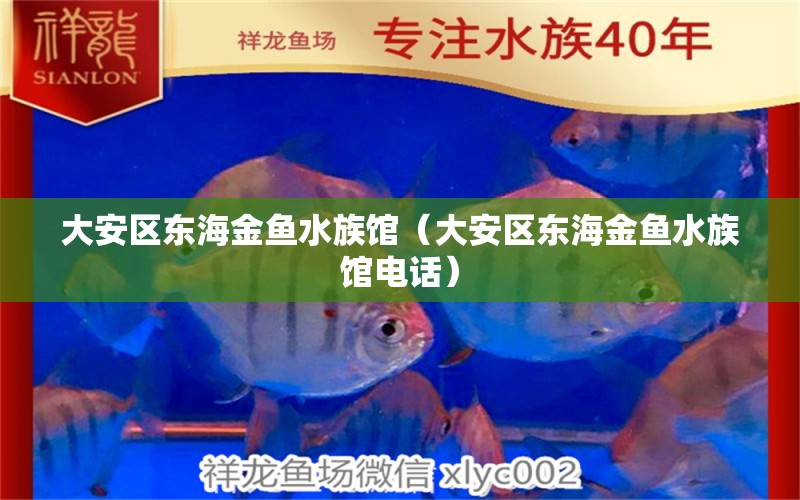 大安区东海金鱼水族馆（大安区东海金鱼水族馆电话） 全国水族馆企业名录