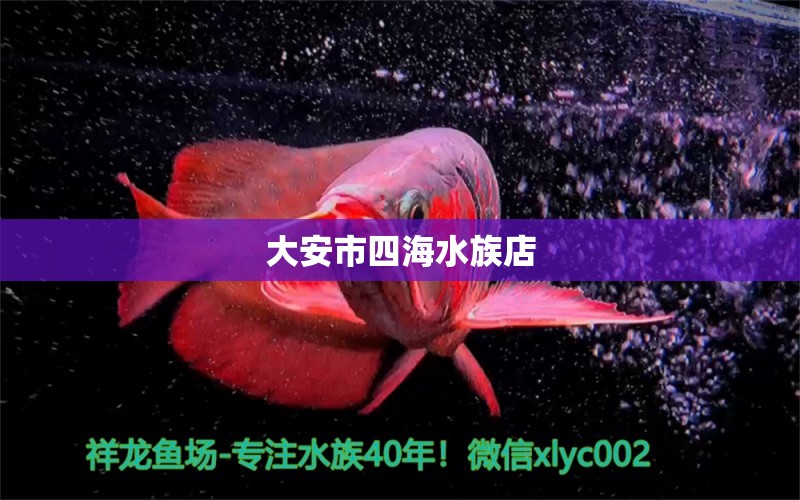 大安市四海水族店 全国水族馆企业名录