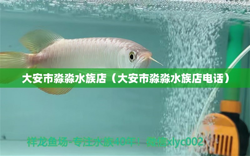 大安市淼淼水族店（大安市淼淼水族店电话）