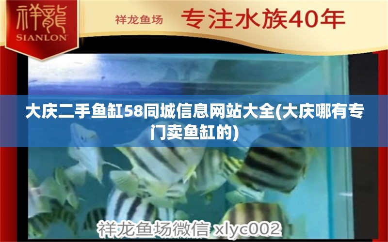 大庆二手鱼缸58同城信息网站大全(大庆哪有专门卖鱼缸的) 祥龙进口元宝凤凰鱼