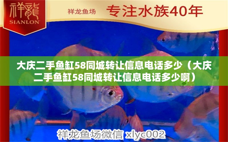 大庆二手鱼缸58同城转让信息电话多少（大庆二手鱼缸58同城转让信息电话多少啊） 祥禾Super Red红龙鱼