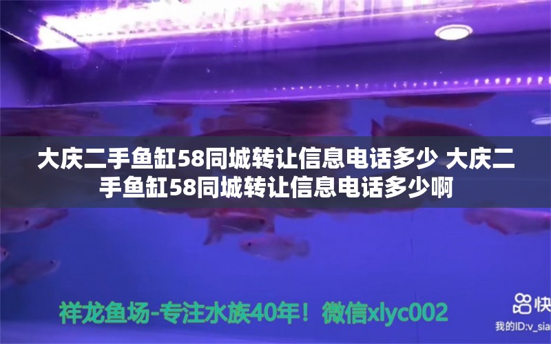 大庆二手鱼缸58同城转让信息电话多少 大庆二手鱼缸58同城转让信息电话多少啊