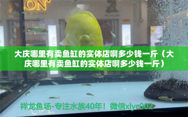 大庆哪里有卖鱼缸的实体店啊多少钱一斤（大庆哪里有卖鱼缸的实体店啊多少钱一斤）