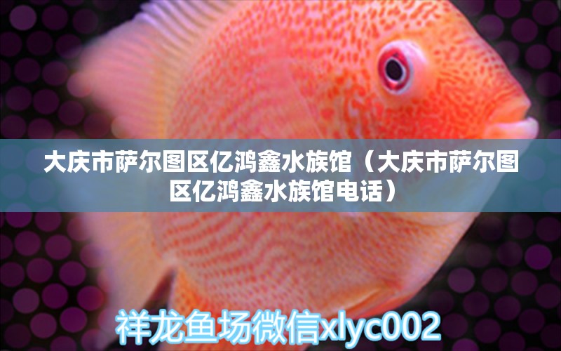 大庆市萨尔图区亿鸿鑫水族馆（大庆市萨尔图区亿鸿鑫水族馆电话） 全国水族馆企业名录