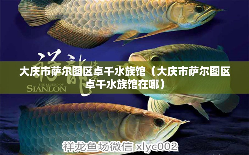 大庆市萨尔图区卓千水族馆（大庆市萨尔图区卓千水族馆在哪）