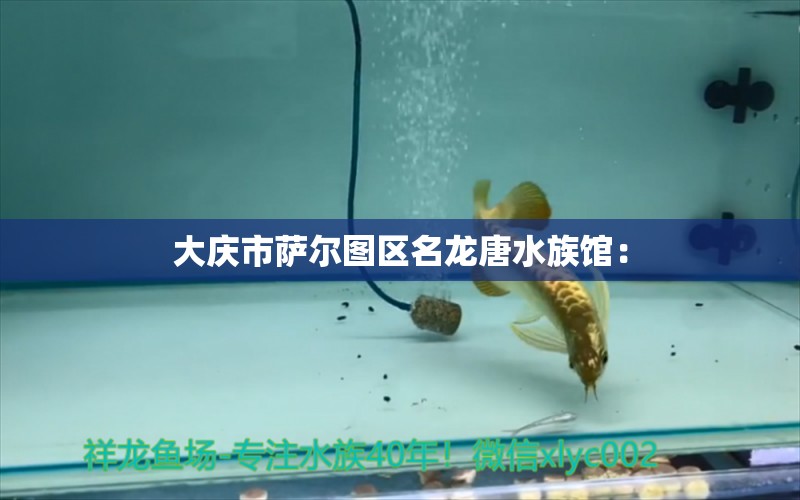 大庆市萨尔图区名龙唐水族馆： 全国水族馆企业名录