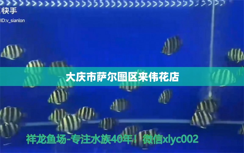 大庆市萨尔图区来伟花店 全国水族馆企业名录