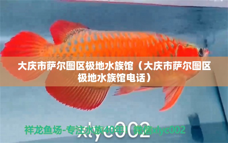 大庆市萨尔图区极地水族馆（大庆市萨尔图区极地水族馆电话）