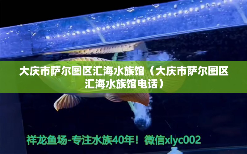 大庆市萨尔图区汇海水族馆（大庆市萨尔图区汇海水族馆电话）