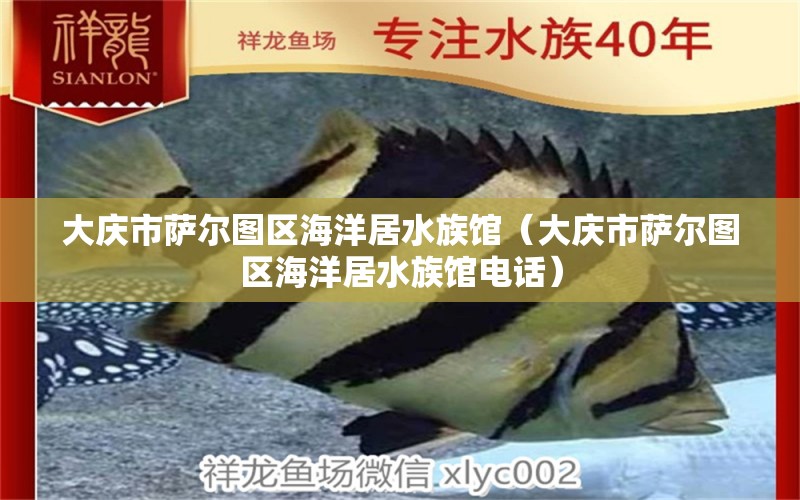 大庆市萨尔图区海洋居水族馆（大庆市萨尔图区海洋居水族馆电话） 全国水族馆企业名录