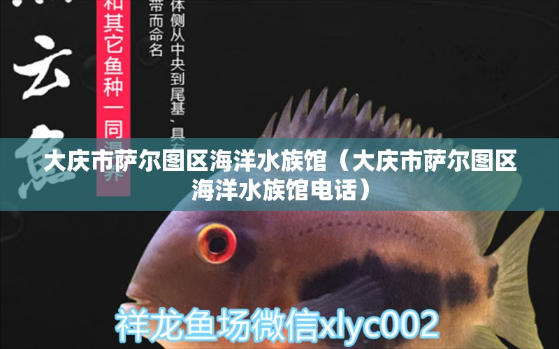 大庆市萨尔图区海洋水族馆（大庆市萨尔图区海洋水族馆电话） 全国水族馆企业名录