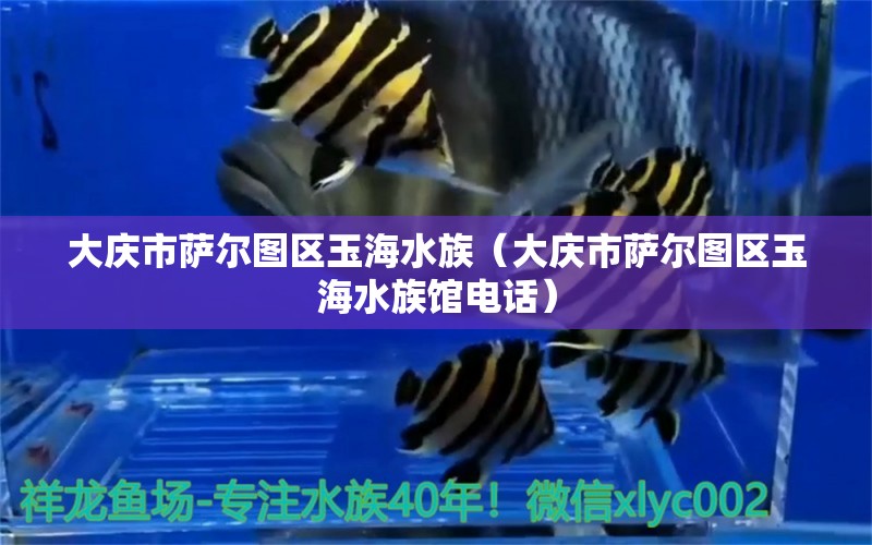 大庆市萨尔图区玉海水族（大庆市萨尔图区玉海水族馆电话） 全国水族馆企业名录