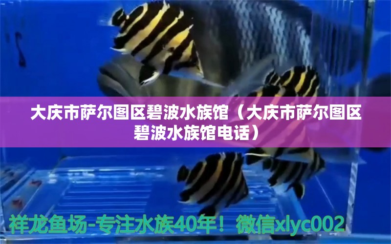 大庆市萨尔图区碧波水族馆（大庆市萨尔图区碧波水族馆电话）