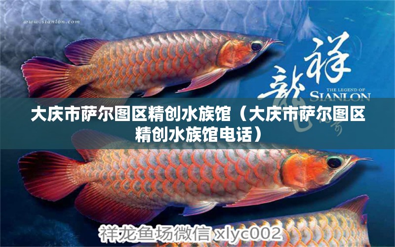 大庆市萨尔图区精创水族馆（大庆市萨尔图区精创水族馆电话）