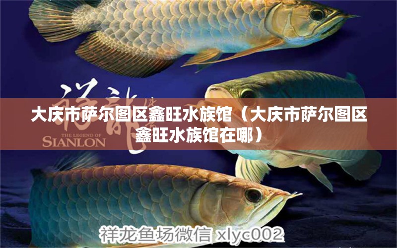 大庆市萨尔图区鑫旺水族馆（大庆市萨尔图区鑫旺水族馆在哪）