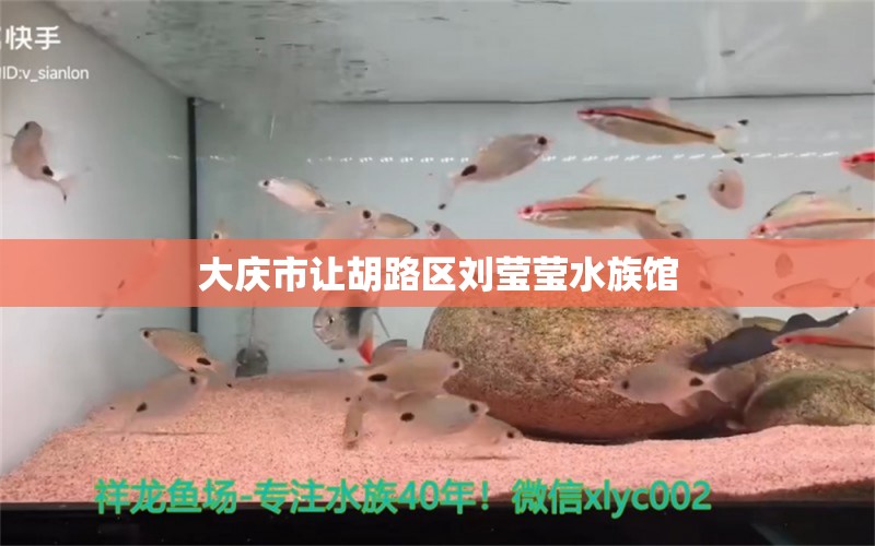 大庆市让胡路区刘莹莹水族馆