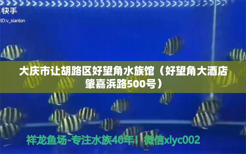 大庆市让胡路区好望角水族馆（好望角大酒店肇嘉浜路500号）