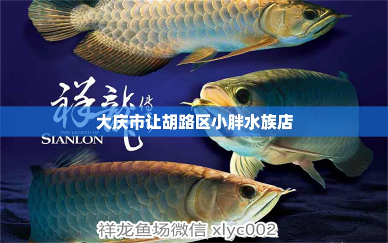 大庆市让胡路区小胖水族店 全国水族馆企业名录