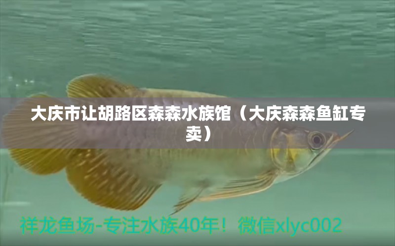 大庆市让胡路区森森水族馆（大庆森森鱼缸专卖）