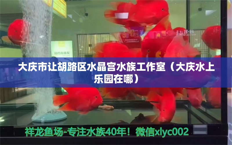 大庆市让胡路区水晶宫水族工作室（大庆水上乐园在哪） 全国水族馆企业名录