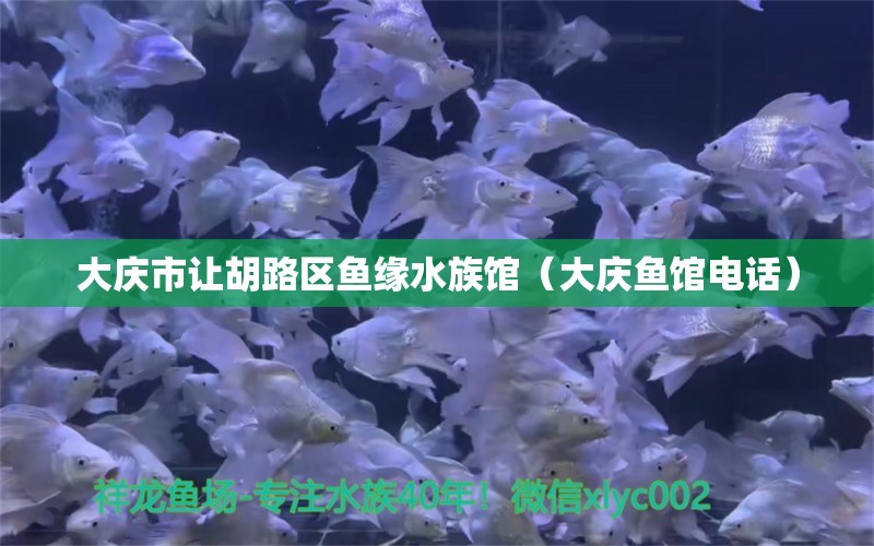 大庆市让胡路区鱼缘水族馆（大庆鱼馆电话）