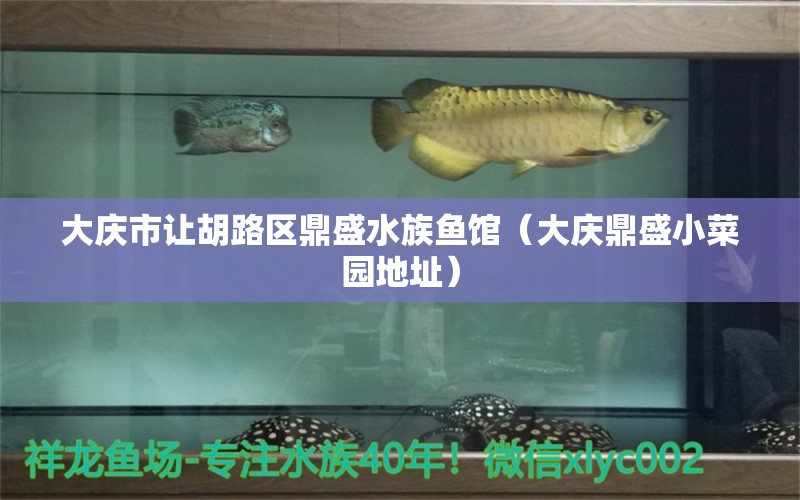 大庆市让胡路区鼎盛水族鱼馆（大庆鼎盛小菜园地址） 全国水族馆企业名录