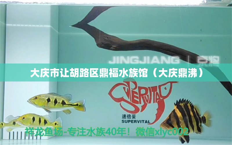 大庆市让胡路区鼎福水族馆（大庆鼎沸） 全国水族馆企业名录