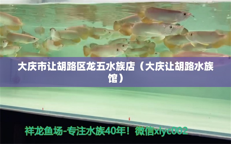 大庆市让胡路区龙五水族店（大庆让胡路水族馆）