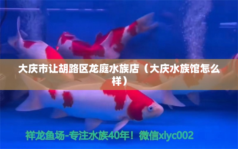 大庆市让胡路区龙庭水族店（大庆水族馆怎么样）