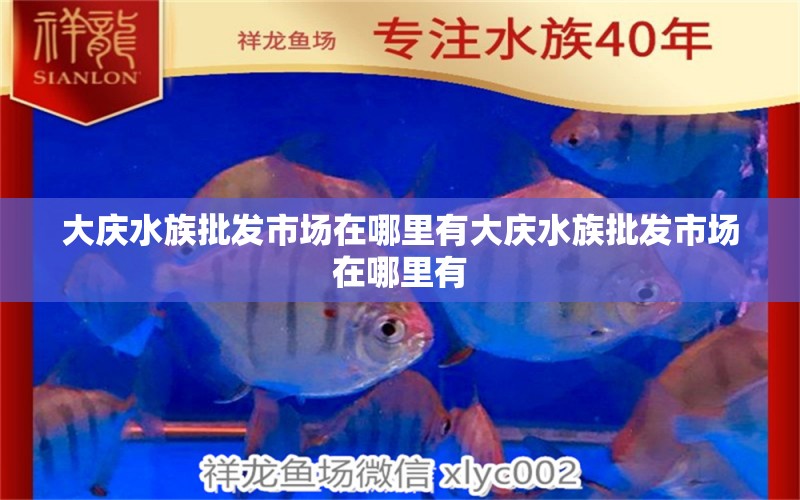 大庆水族批发市场在哪里有大庆水族批发市场在哪里有