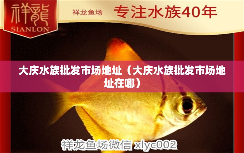 大庆水族批发市场地址（大庆水族批发市场地址在哪） 观赏鱼水族批发市场