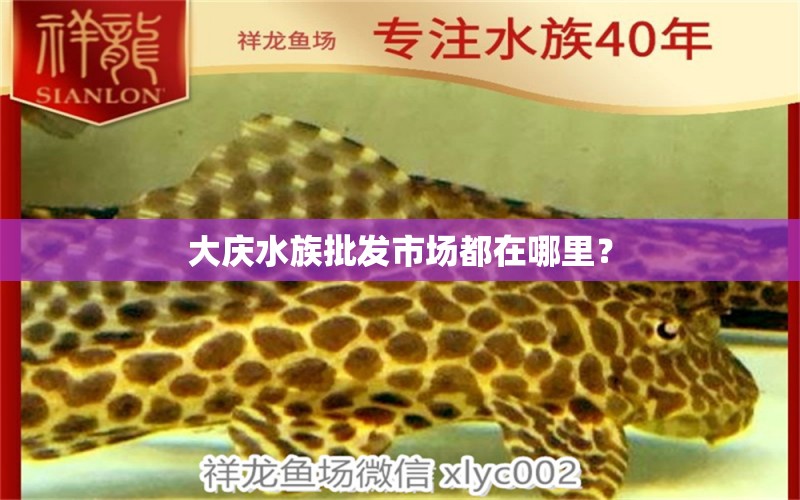 大庆水族批发市场都在哪里？