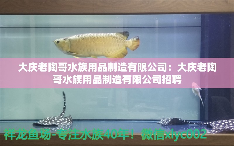 大庆老陶哥水族用品制造有限公司：大庆老陶哥水族用品制造有限公司招聘