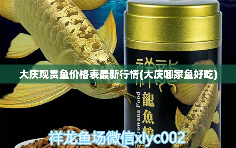 大庆观赏鱼价格表最新行情(大庆哪家鱼好吃) 申古银版鱼