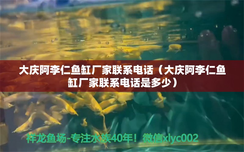 大庆阿李仁鱼缸厂家联系电话（大庆阿李仁鱼缸厂家联系电话是多少） 泰国斗鱼