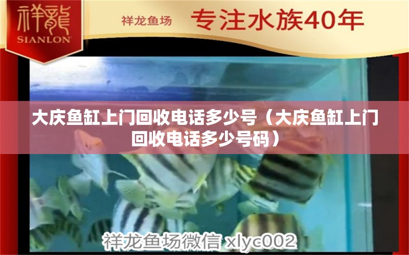 大庆鱼缸上门回收电话多少号（大庆鱼缸上门回收电话多少号码） 金老虎鱼