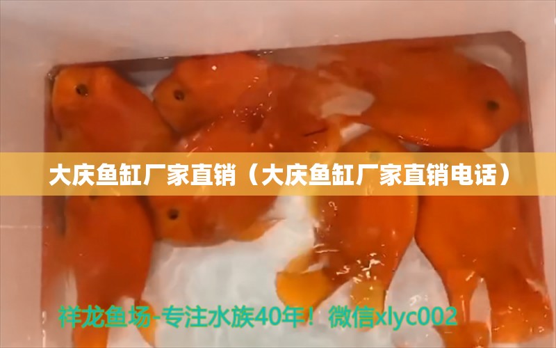 大庆鱼缸厂家直销（大庆鱼缸厂家直销电话）