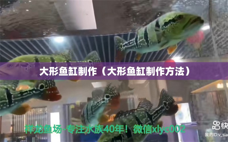 大形鱼缸制作（大形鱼缸制作方法） 观赏鱼水族批发市场