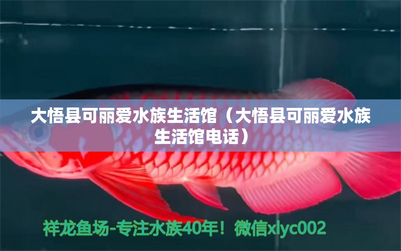 大悟县可丽爱水族生活馆（大悟县可丽爱水族生活馆电话） 全国水族馆企业名录