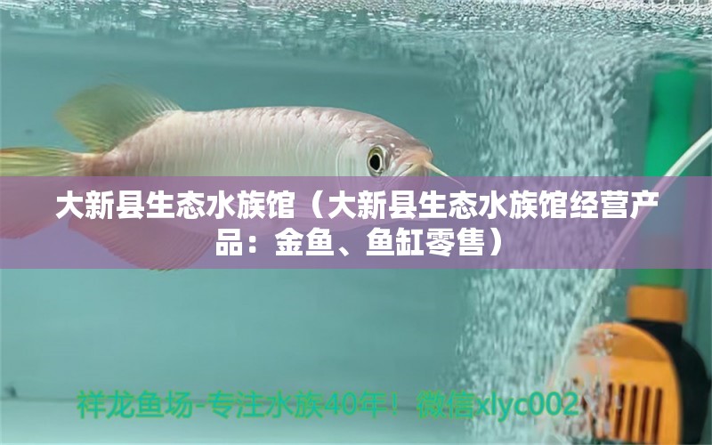 大新县生态水族馆（大新县生态水族馆经营产品：金鱼、鱼缸零售） 全国观赏鱼市场 第2张