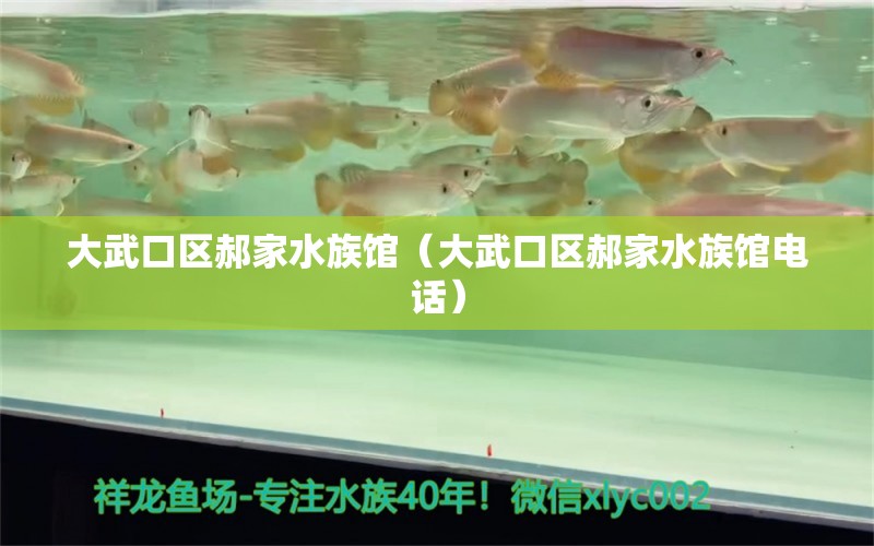 大武口区郝家水族馆（大武口区郝家水族馆电话）