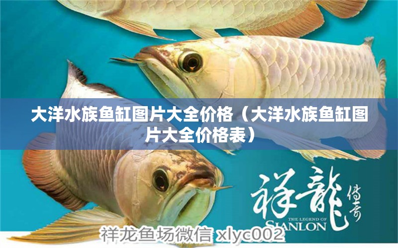 大洋水族鱼缸图片大全价格（大洋水族鱼缸图片大全价格表）