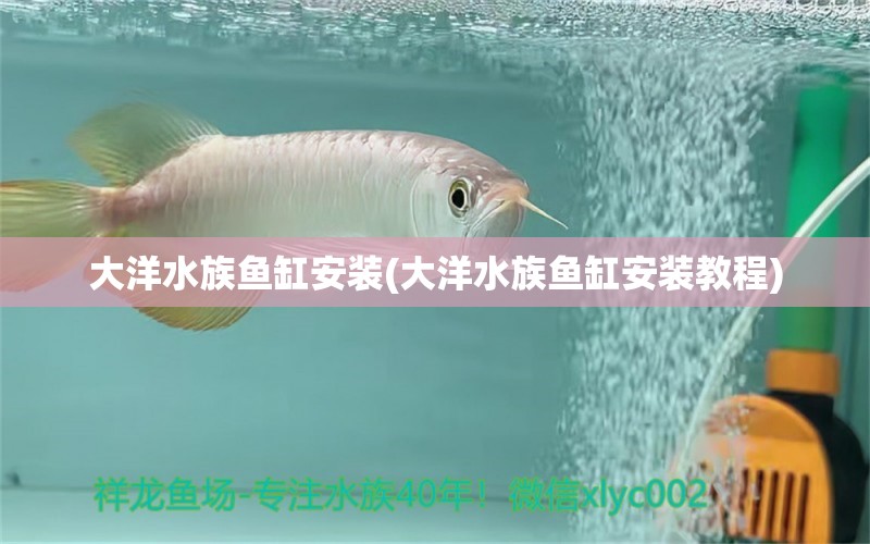 大洋水族鱼缸安装(大洋水族鱼缸安装教程)