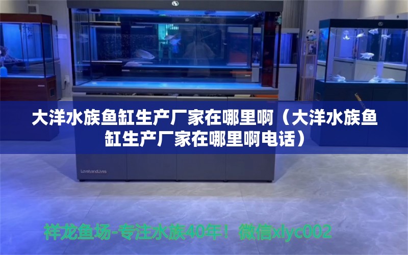 大洋水族鱼缸生产厂家在哪里啊（大洋水族鱼缸生产厂家在哪里啊电话）