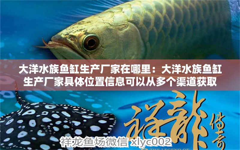 大洋水族鱼缸生产厂家在哪里：大洋水族鱼缸生产厂家具体位置信息可以从多个渠道获取 鱼缸百科 第2张