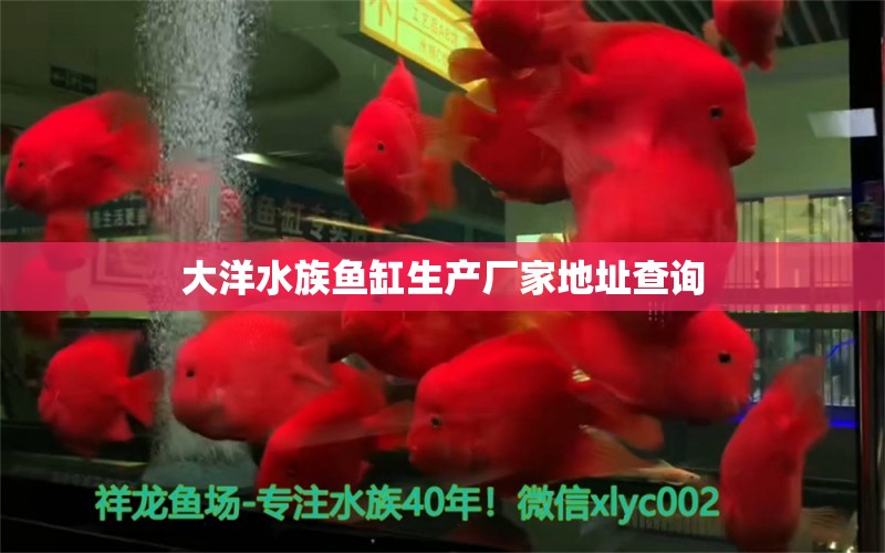 大洋水族鱼缸生产厂家地址查询